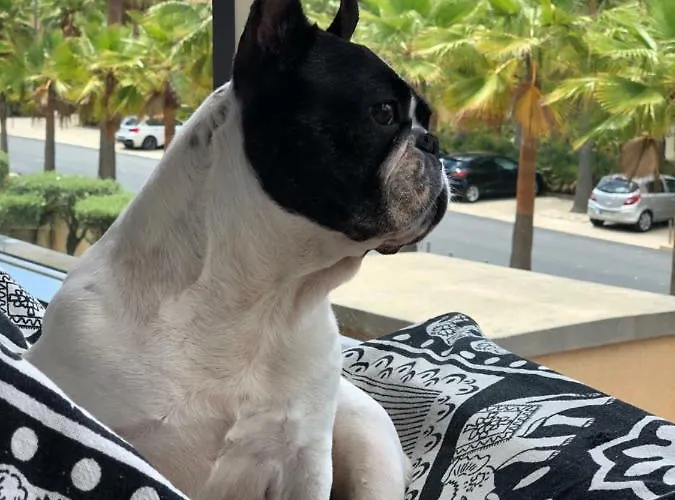 Herdade Dos Salgados *