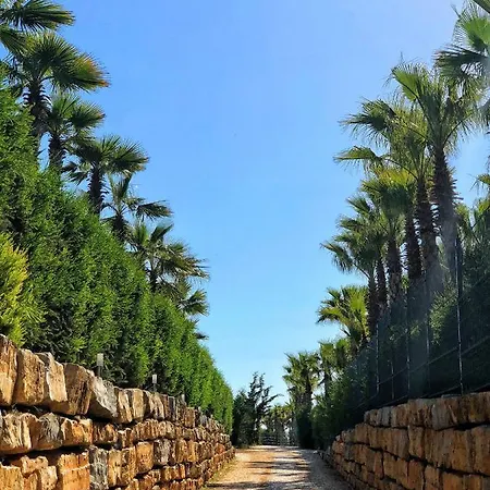 Herdade Dos Salgados Διαμέρισμα Αλμπουφέιρα